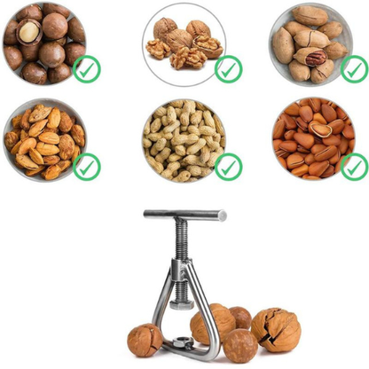 casse-noix-type-de-noix