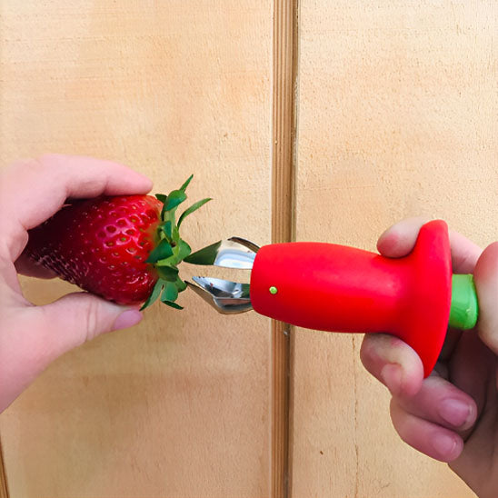 eplucheur-personne-qui-va-enlever-une-queue-a-une-fraise