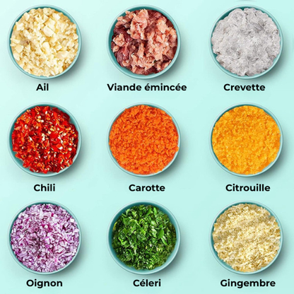 hachoir-electrique-aliment-hacher