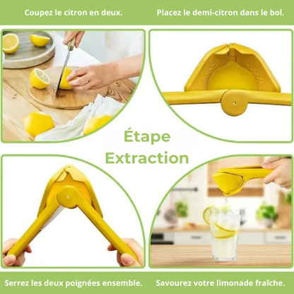 presse-agrume-etape-extraction